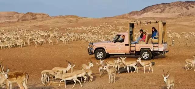 阿联酋迪拜哈姆丹国际摄影大赛,巴塞罗那最佳摄影点