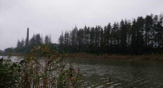 钓鱼人太牛！大风大雨中垂钓也能迎来鲤鲫大丰收