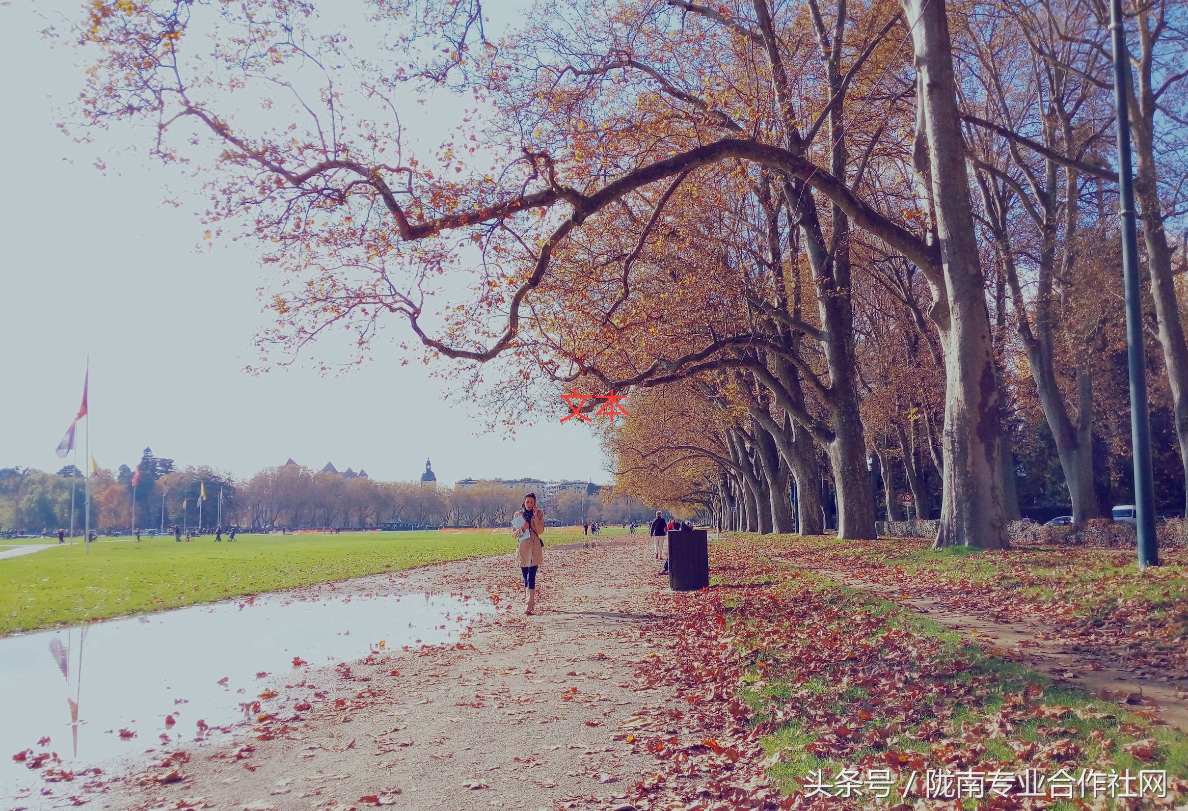 家庭农场营业执照验资,家庭农场验资报告
