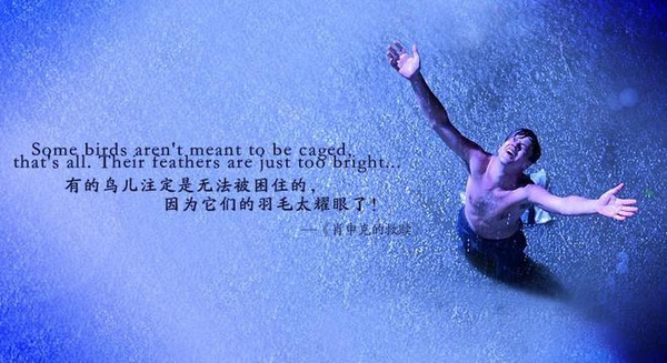 暂时的失意只是为了厚积薄发,暂时的得失