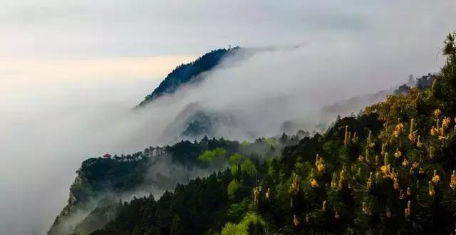 庐山情庐山恋,庐山恋背景