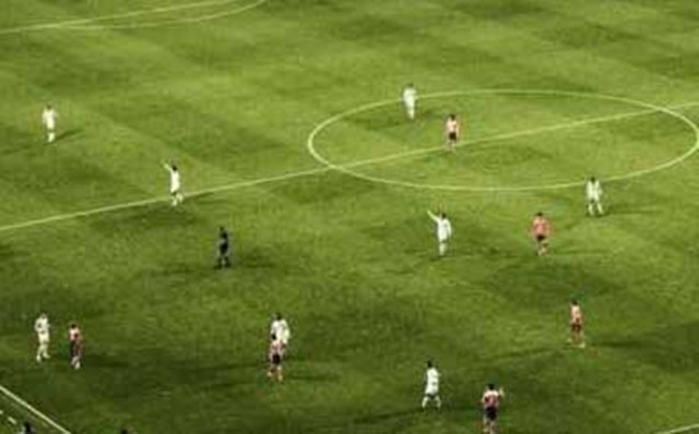 世界杯草坪是怎么样的,世界杯的草坪是怎样的