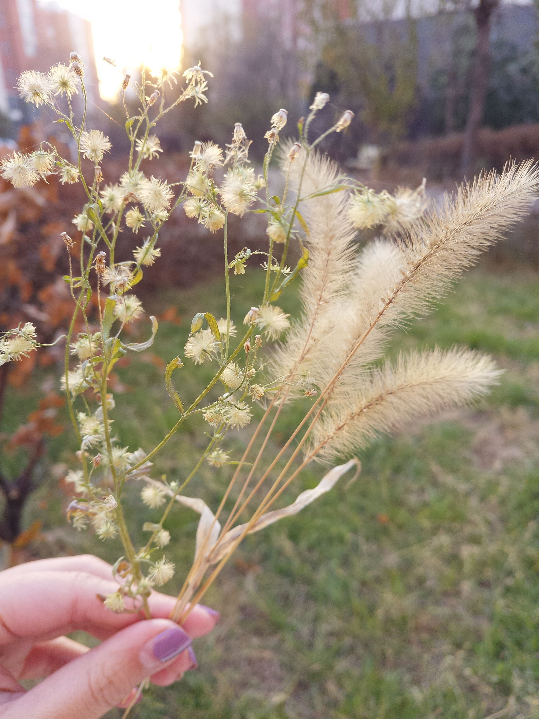 化妆品过敏是什么原因导致的,什么是化妆品过敏