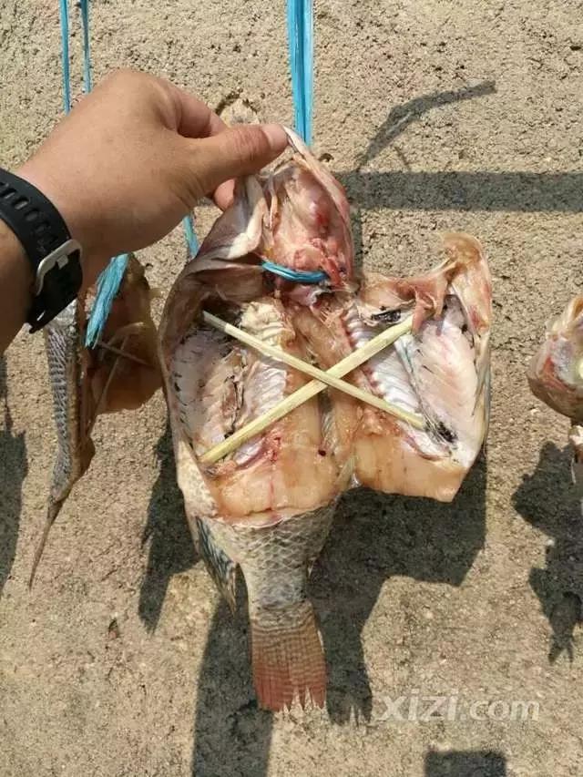 入冬了，原来惠阳的吃货们是这么玩的，看完后越寒冷越心动！