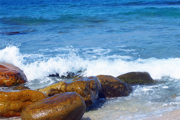 在第二个夏日赴一场海鲜的约会