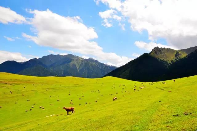 12月旅游特价机票,重庆白菜价机票
