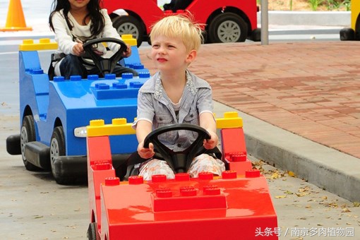 乐高积木成人款植物多肉,小玩具乐高