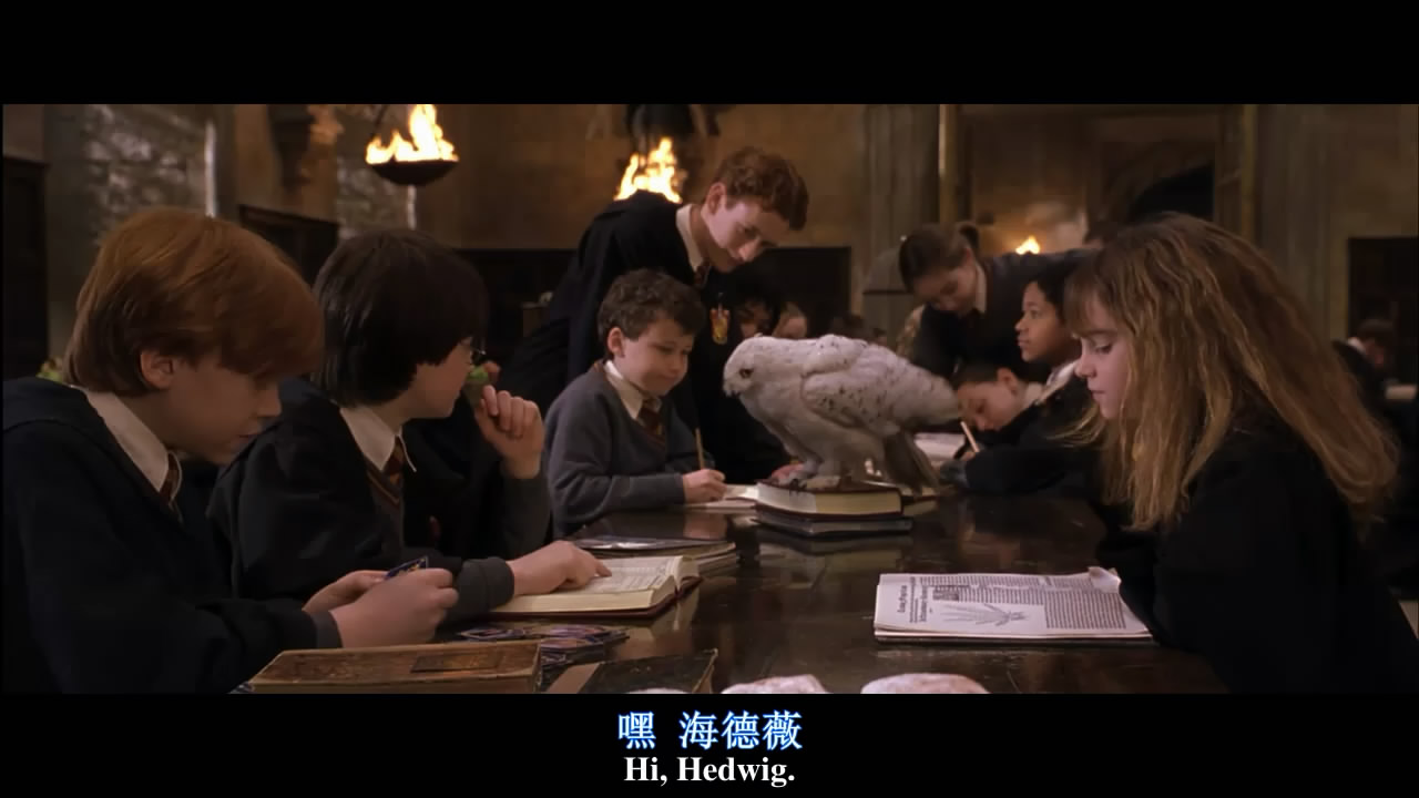 你还记得那颗干鼻屎味道的多味豆吗