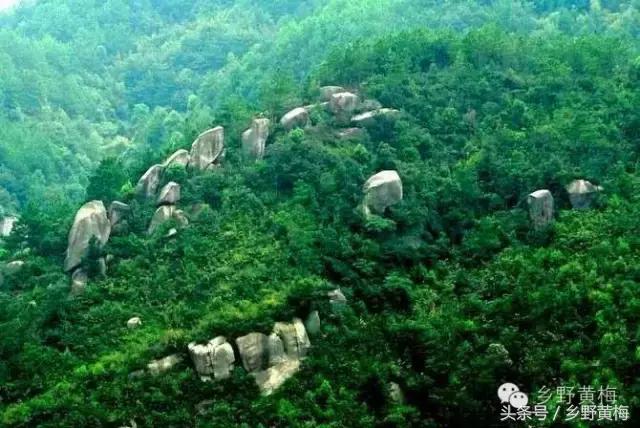 难忘大青山,难忘中学