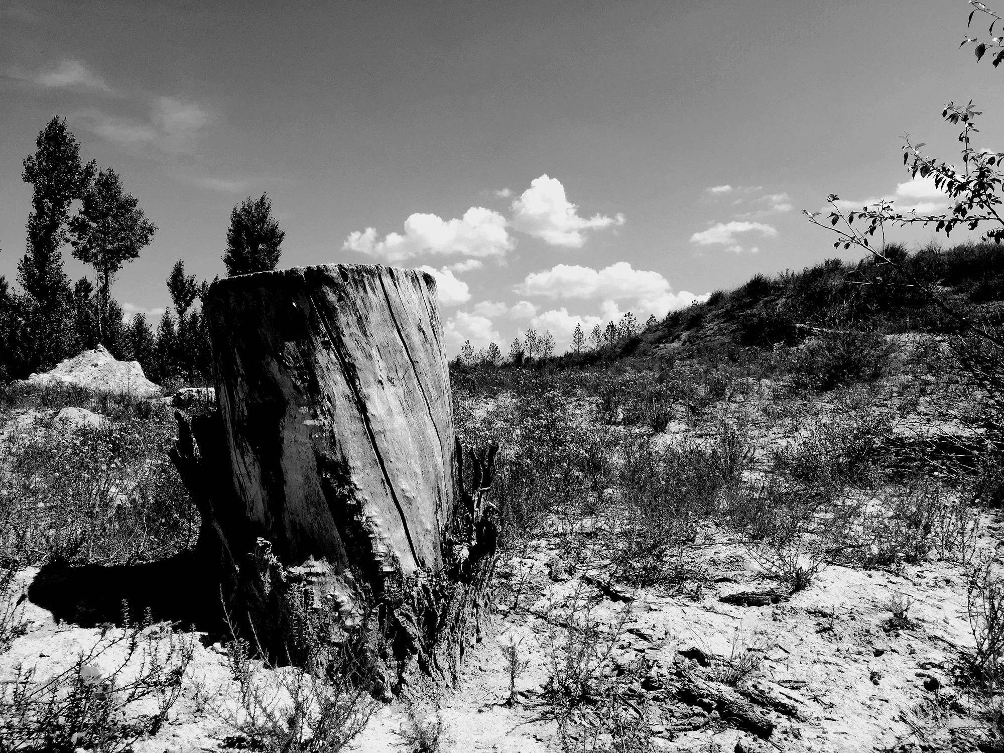 历史丨匈奴最后的遗址：废都统万城