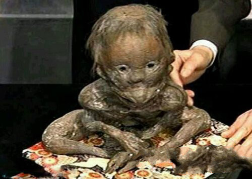 河童发现水鬼真实故事,河童和水鬼是什么关系