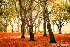 也许我不怕伤,才念念不忘