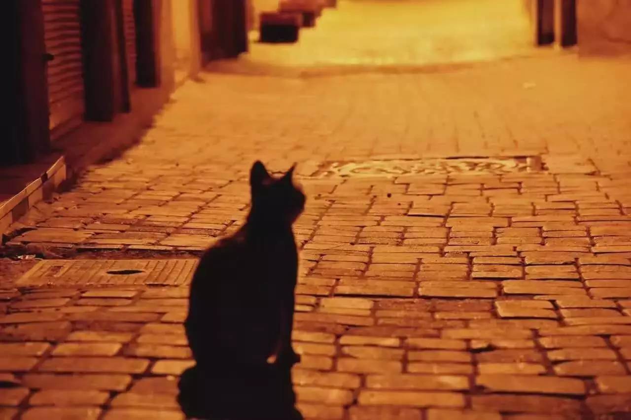 谁在美化美国,谁在美化齐淑芳