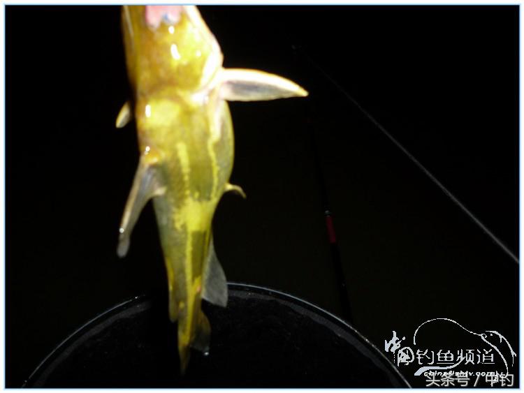 虎岭钓鱼路亚,虎岭钓鱼场