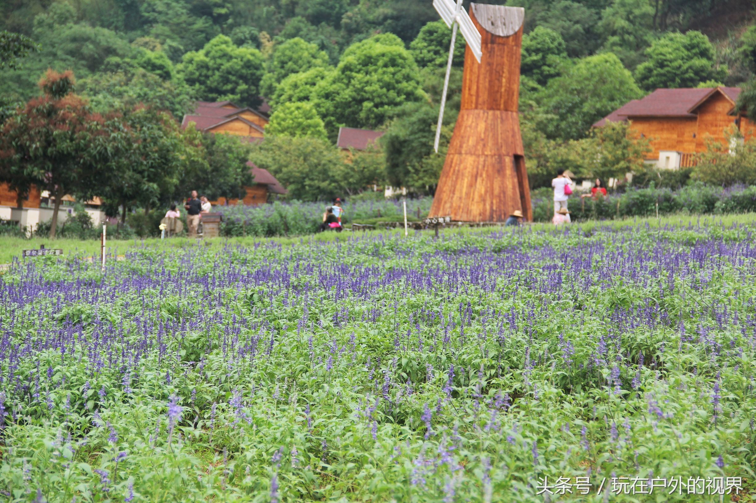 德庆县盘龙峡景区相关图片,德庆县盘龙峡风景区最新视频