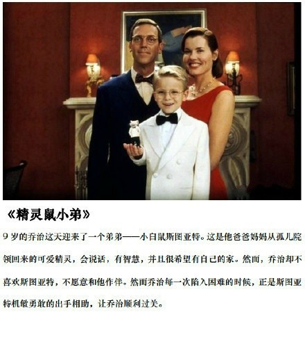 兔哥电影推荐：各种萌物萌宠出没，从头到尾，萌你一脸血