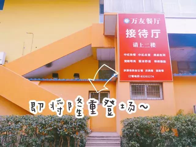全国十大最美银杏大学,全国最美银杏大学