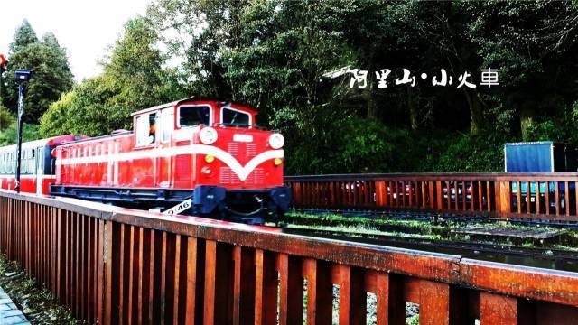 快来看真正的阿里山日月潭是怎样的~