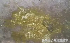 产房腹泻的治疗方法,产房肚子胀气治疗方法