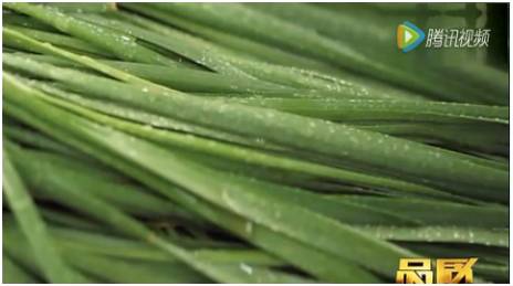 喝酵素真的有那么神奇吗,喝的酵素究竟有没有用