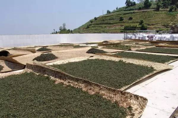 最近昆明哪里风景比较好,昆明周边的绝世美景
