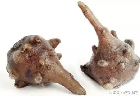 追忆李可老中医,追忆李诚先生赏析