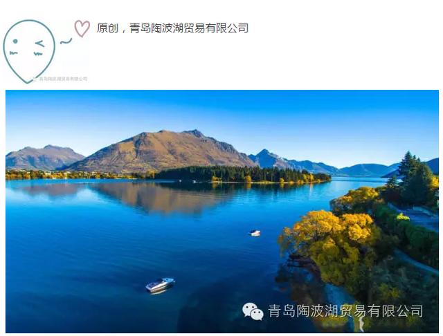 介绍新西兰特色的视频,新西兰植物