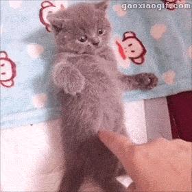 逗逼先僧：完了以后能不能给我舔舔，搞笑gif图片合集6