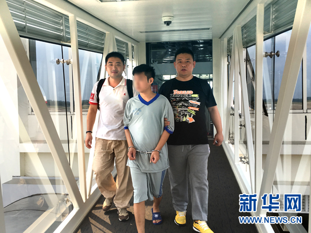 褚宏伟排球运动员,褚宏伟教授