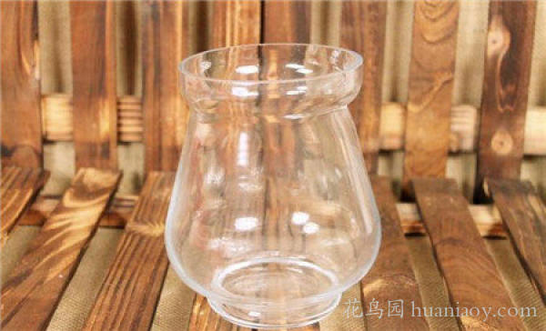 水培油画吊兰的养殖方法,怎样水培金边吊兰又可以养鱼