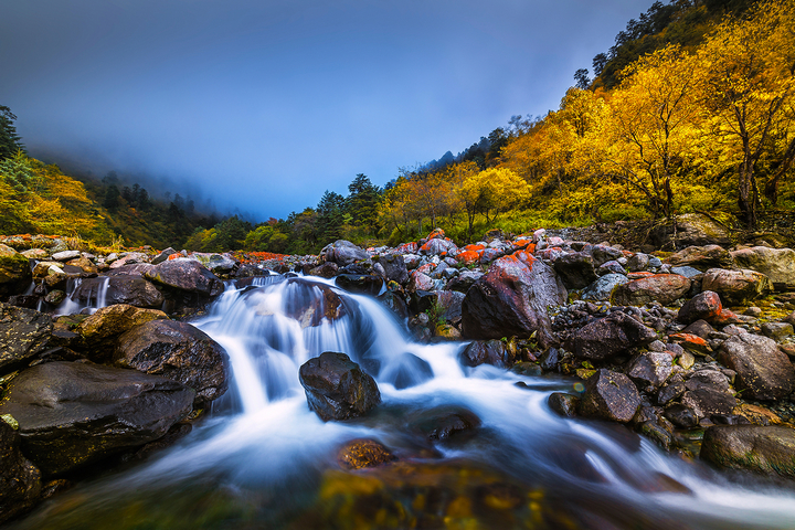 二郎山雪景,天全二郎山冰雪节