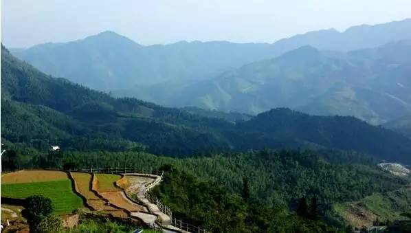 word天！赣州这些村落被国家点名了！这是要“搞事情”啊