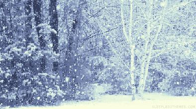 「诗词鉴赏」倾城一夜雪万物皆覆白