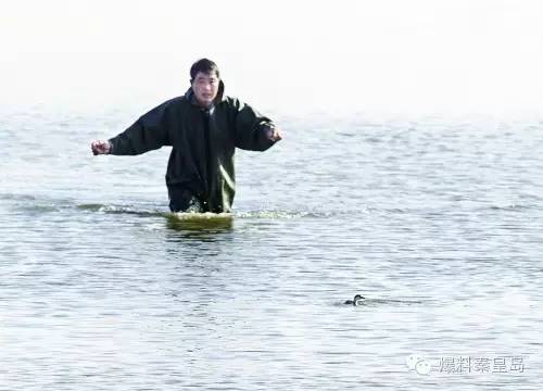 秦皇岛观鸟最有名的鸟,秦皇岛有哪些鸟