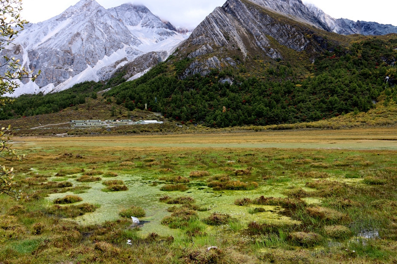 佩服自己，我在亚丁冒雨溯溪央迈勇到牛奶海