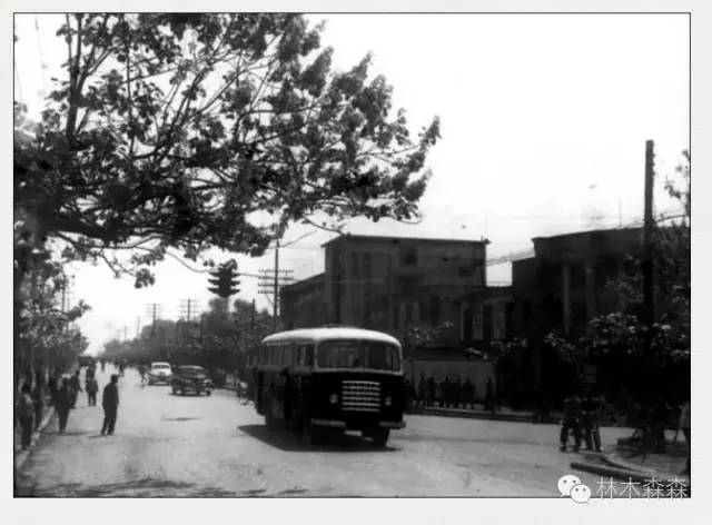 生在安徽人在浙江,生在皖嫁在沪