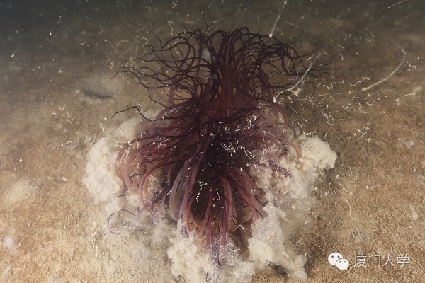 特色课程游泳课内容,隐藏的体育课