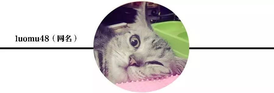 垫下巴有血水怎么办,垫下巴会把骨头磨掉嘛