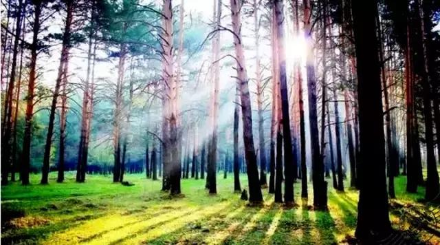 成都周边哪里好玩点的景点推荐下,成都附近免费旅游景区有哪些