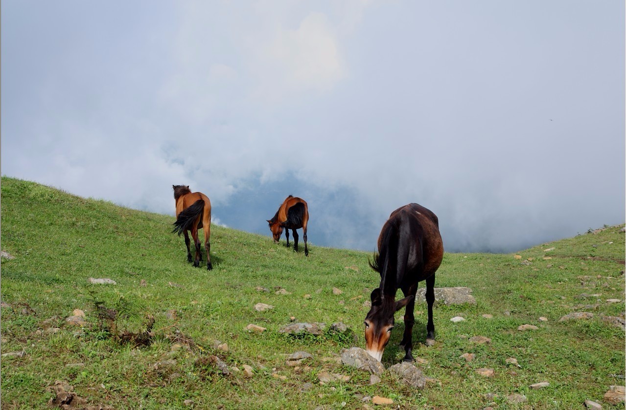 最近昆明哪里风景比较好,昆明周边的绝世美景