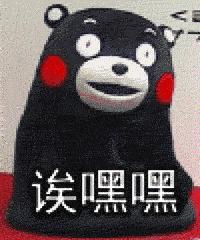 成都龙泉驿足球场规划,即将建成或在建的足球场