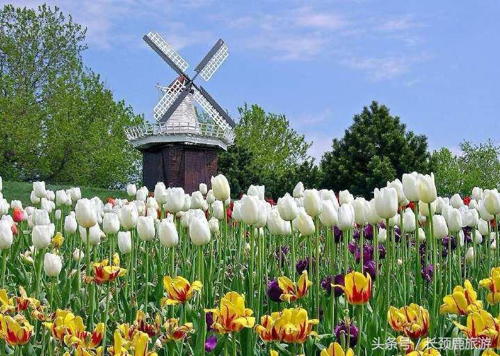 去欧洲旅游定制行程,欧洲旅游计划定制