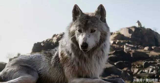 必看的10部大片,超燃劲爆大片