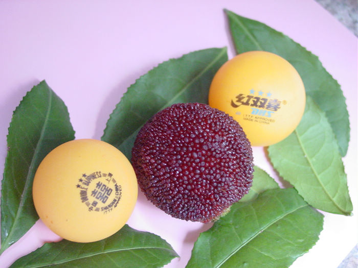 寻找最美摩旅线路10：蓝天清山碧水浙闽行