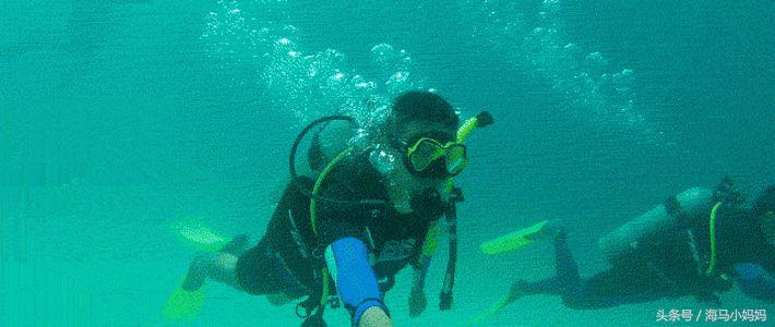 仙本那考潜水证日程,去仙本那潜水要考什么证