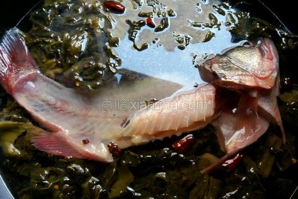 剔鱼片的教程,鱼片的切法剔除鱼刺视频