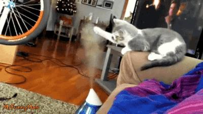 这才是真正的保暖神器,天冷了这些抗寒神器你都知道吗