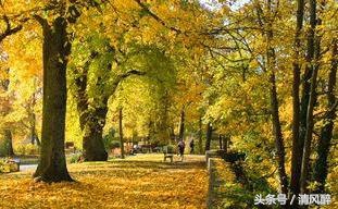 qq留言板祝福语,2020qq群发祝福语