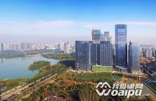 合肥政务区高端写字楼集群天鹅湖商务区堪比曼哈顿