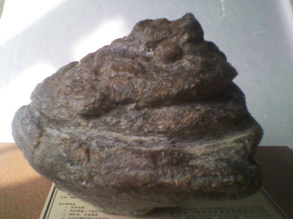 肠道便秘怎么办快速排便,50天不大便正常吗